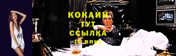 гашик Абаза