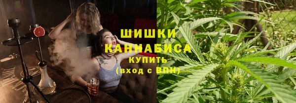 PSILOCYBIN Абдулино