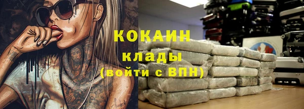 PSILOCYBIN Абдулино