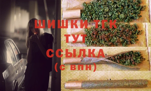 гашик Абаза