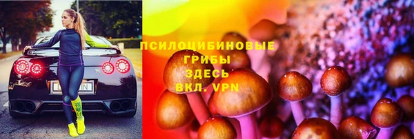 гашик Абаза