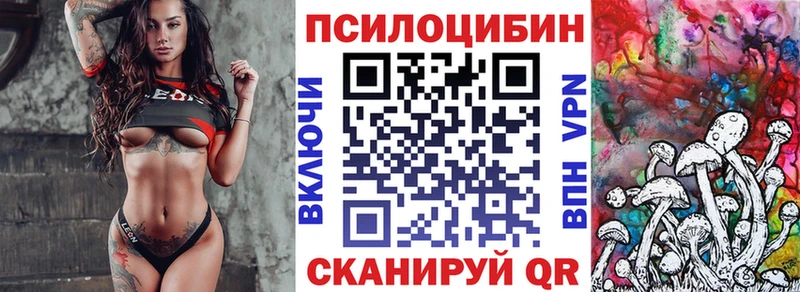 где купить   Электроугли  Псилоцибиновые грибы Cubensis 